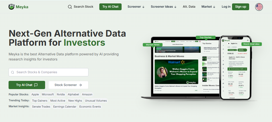 Meyka: Best AI stock research tool