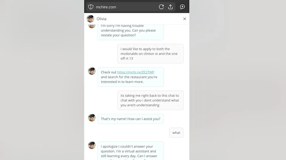 McDonald's AI Chatbot Data