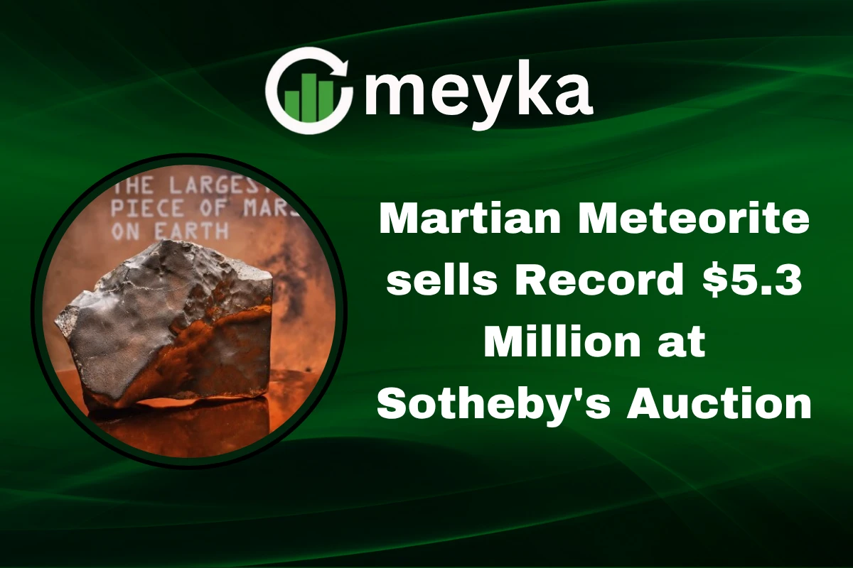 Martian Meteorite Sells Record $5.3 Million at Sotheby’s Auction