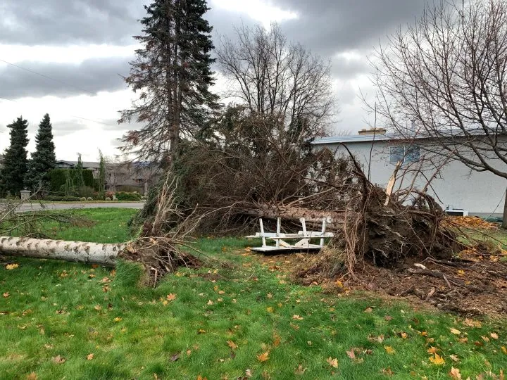 Okanagan Storm Damage
