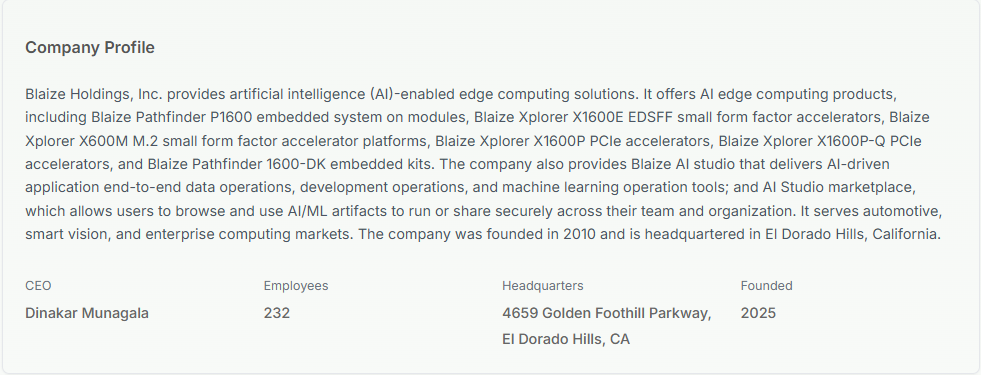 Blaize Holdings Company profile