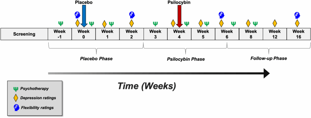 Psilocybin Trial Phase 
