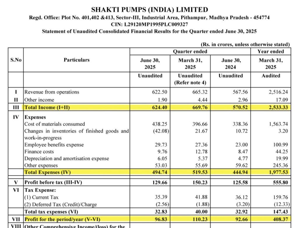 Shakti Pump YoY Financials Overview 