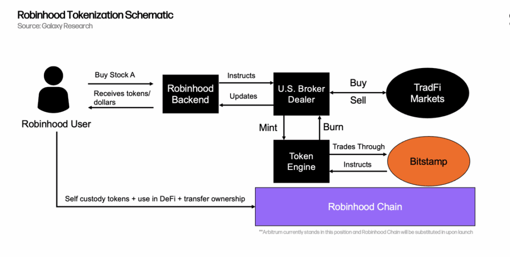 Flow of tokenized stock transactions on Robinhood, from user to blockchain integration.