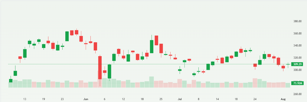 Tesla Shares Overview on Chart