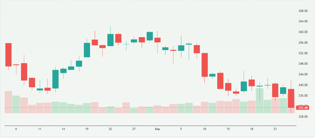 Meyka AI: Accenture Stock Overview