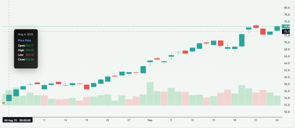 Meyka AI: VenEck Gold Miners price overview 