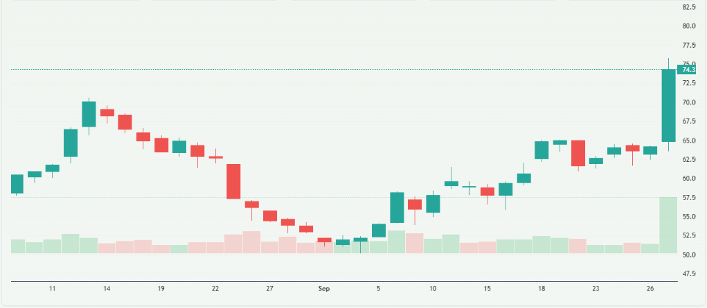 Meyka AI: Etsy Stock Price Overview 