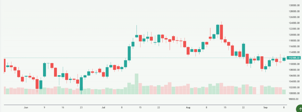 Meyka AI: Bitcoin Price Overview Chart