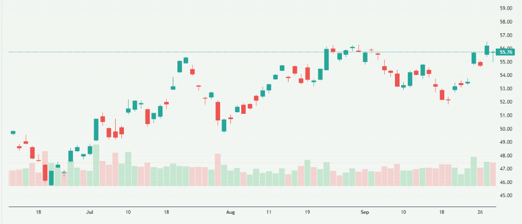Meyka AI: BHP Shares Overview 