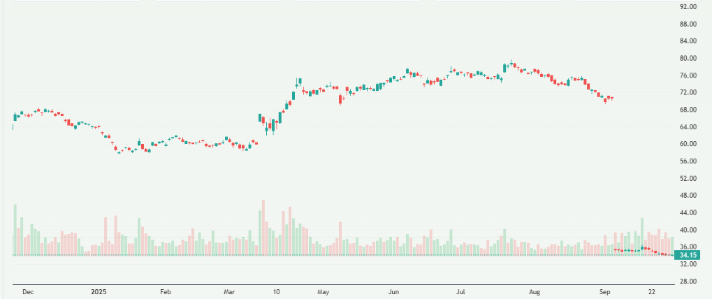 Meyka AI: HDB Bank Stock Overview 