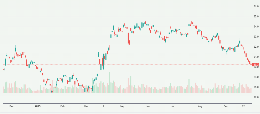 Meyka AI: ICICI Bank Stock Overview 