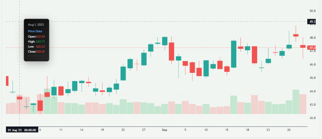 Meyka AI: Occidental Shares Overview