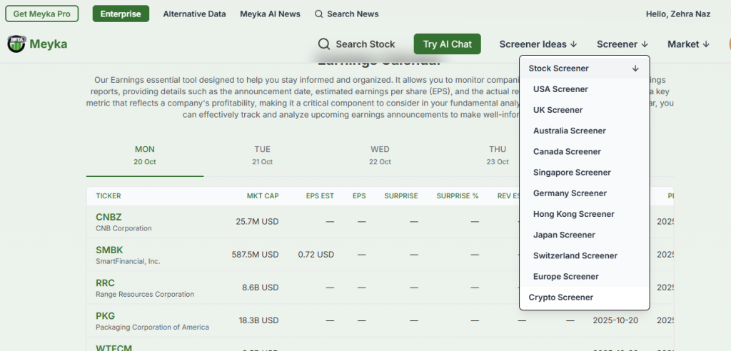 Meyka AI's Market Screeners Feature