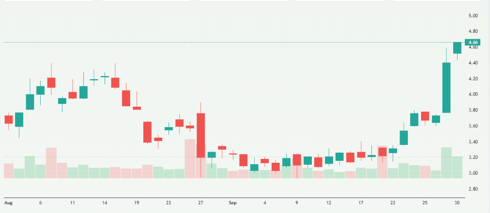 Meyka AI: DroneShield Stock Overview