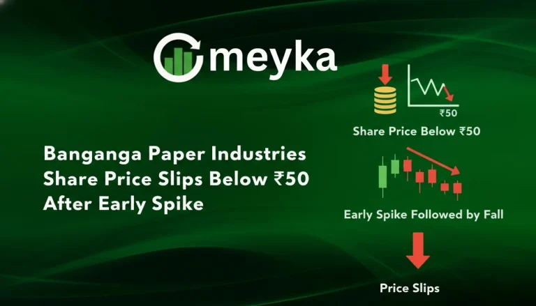 Banganga Paper Industries Share