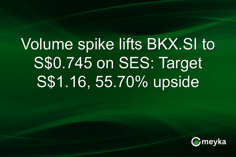 Volume spike lifts BKX.SI to S$0.745 on SES: Target S$1.16, 55.70% upside