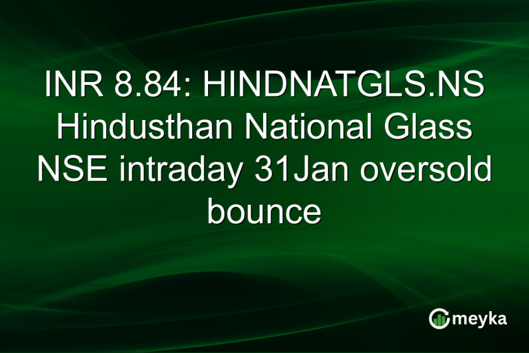 INR 8.84: HINDNATGLS.NS Hindusthan National Glass NSE intraday 31Jan oversold bounce