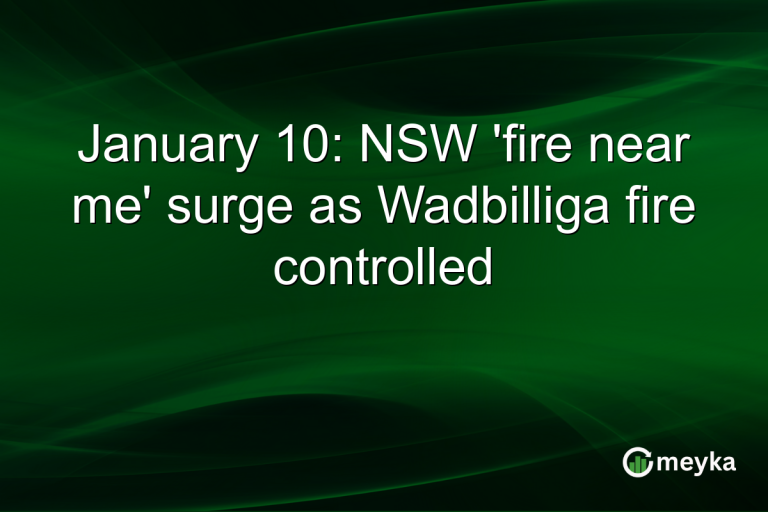 January 10: NSW 'fire near me' surge as Wadbilliga fire controlled