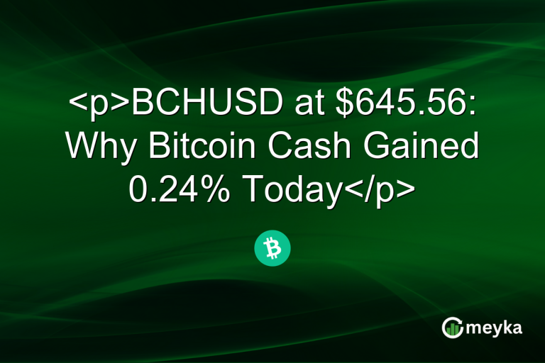 BCHUSD at $645.56: Why Bitcoin Cash Gained 0.24% Today