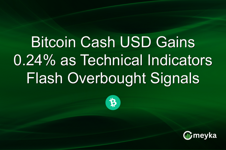 Bitcoin Cash USD Gains 0.24% as Technical Indicators Flash Overbought Signals