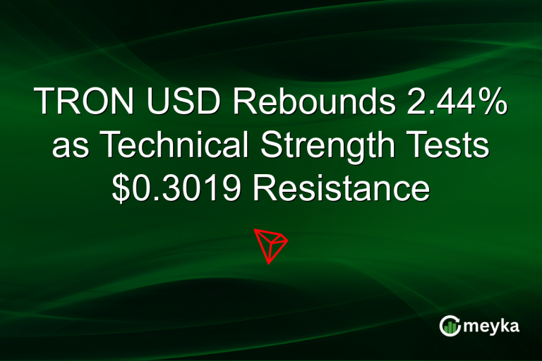 TRON USD Rebounds 2.44% as Technical Strength Tests $0.3019 Resistance