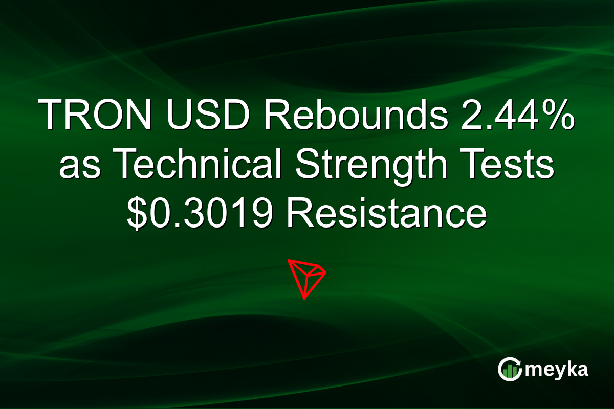 TRON USD Rebounds 2.44% as Technical Strength Tests $0.3019 Resistance
