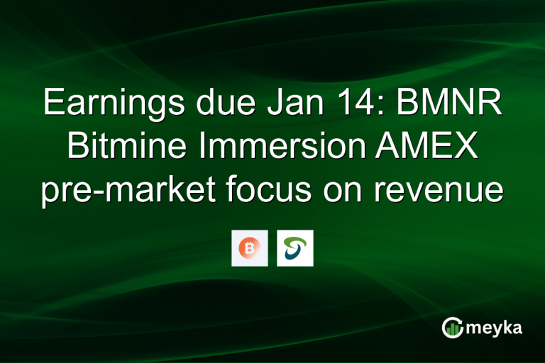 Earnings due Jan 14: BMNR Bitmine Immersion AMEX pre-market focus on revenue