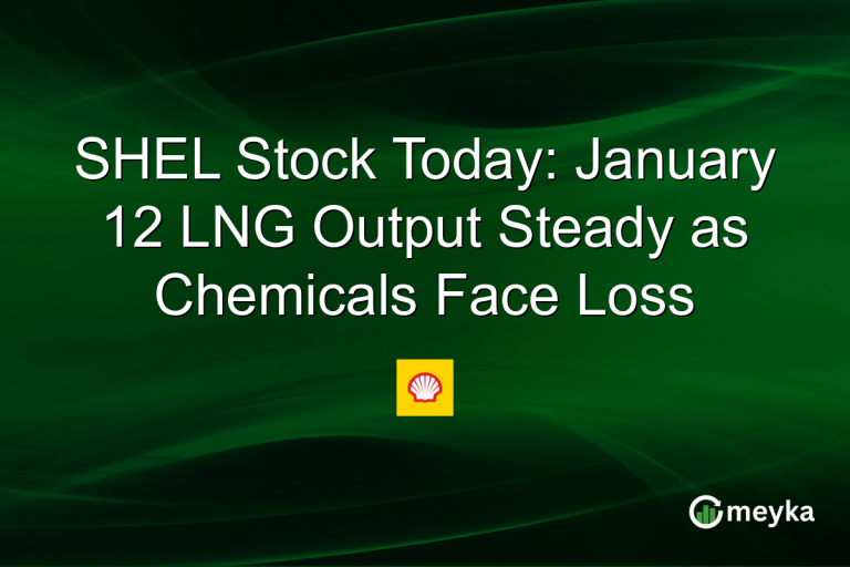 SHEL Stock Today: January 12 LNG Output Steady as Chemicals Face Loss
