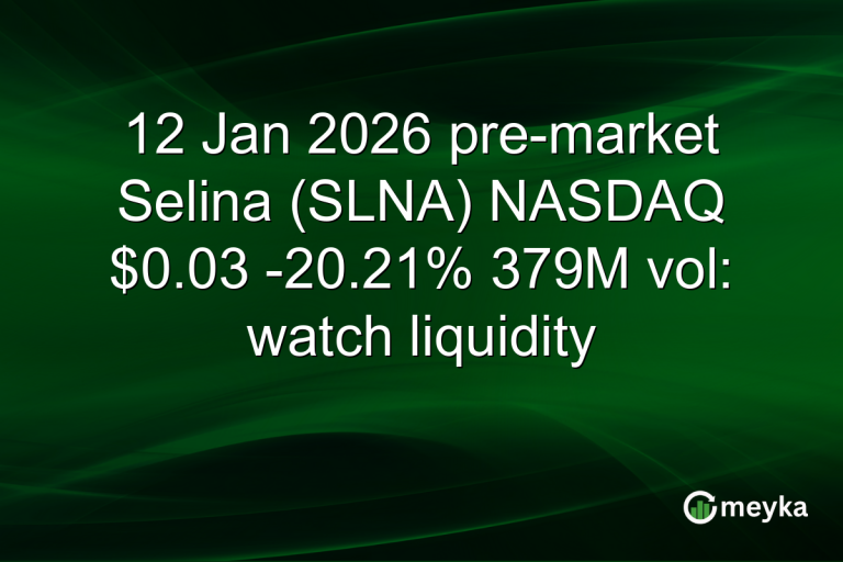 12 Jan 2026 pre-market Selina (SLNA) NASDAQ $0.03 -20.21% 379M vol: watch liquidity