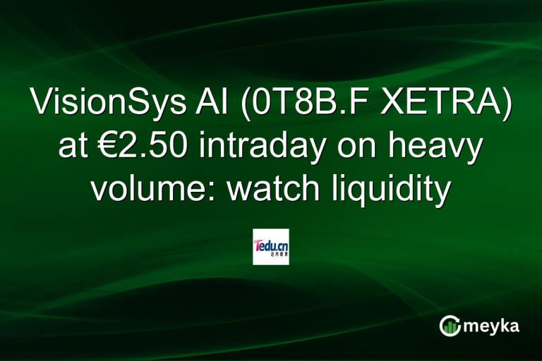 VisionSys AI (0T8B.F XETRA) at €2.50 intraday on heavy volume: watch liquidity