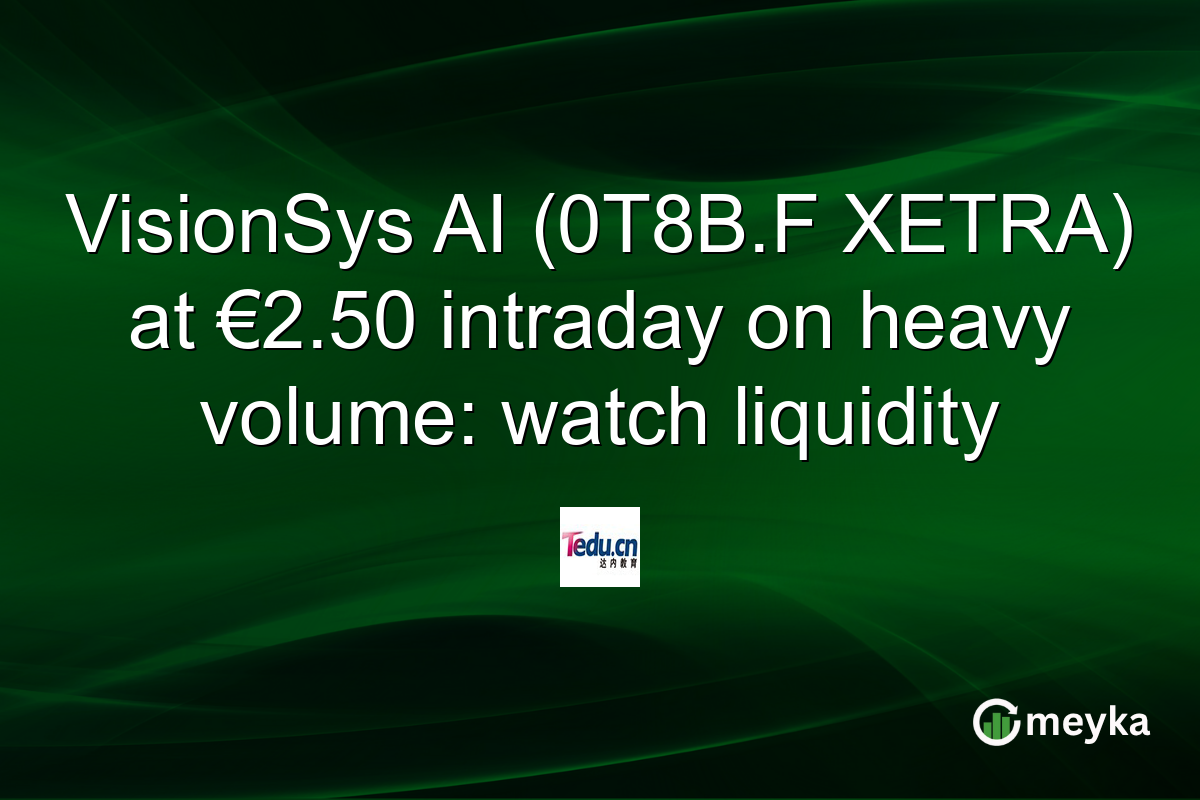 VisionSys AI (0T8B.F XETRA) at €2.50 intraday on heavy volume: watch liquidity