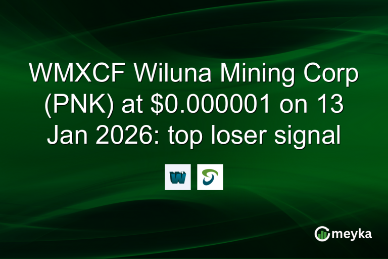 WMXCF Wiluna Mining Corp (PNK) at $0.000001 on 13 Jan 2026: top loser signal