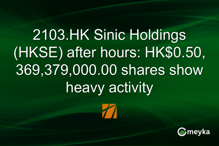2103.HK Sinic Holdings (HKSE) after hours: HK$0.50, 369,379,000.00 shares show heavy activity