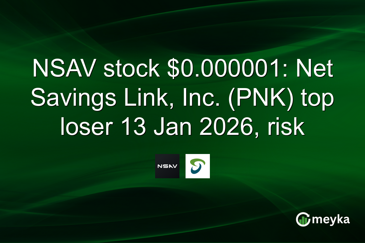 NSAV stock $0.000001: Net Savings Link, Inc. (PNK) top loser 13 Jan 2026, risk
