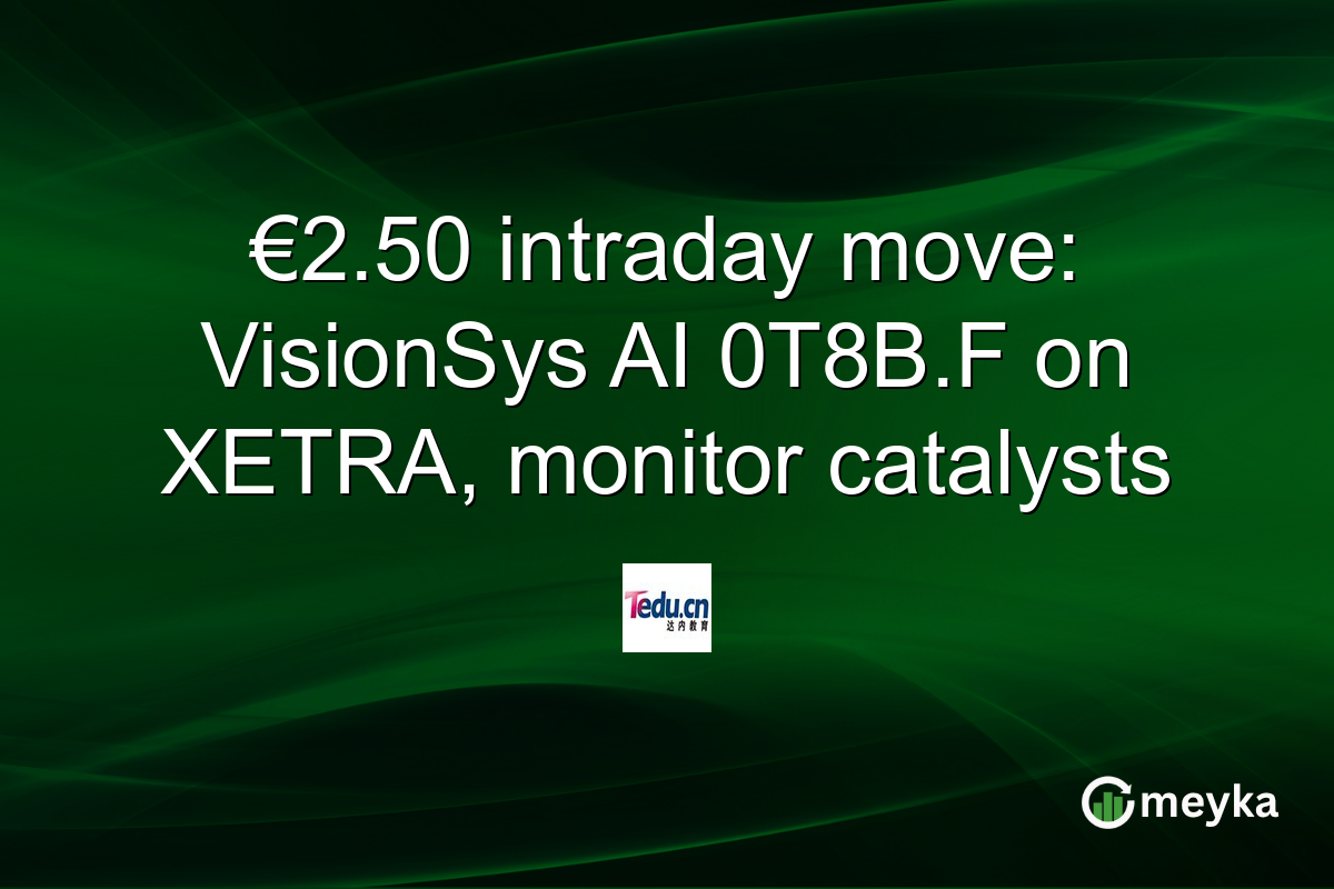 €2.50 intraday move: VisionSys AI 0T8B.F on XETRA, monitor catalysts