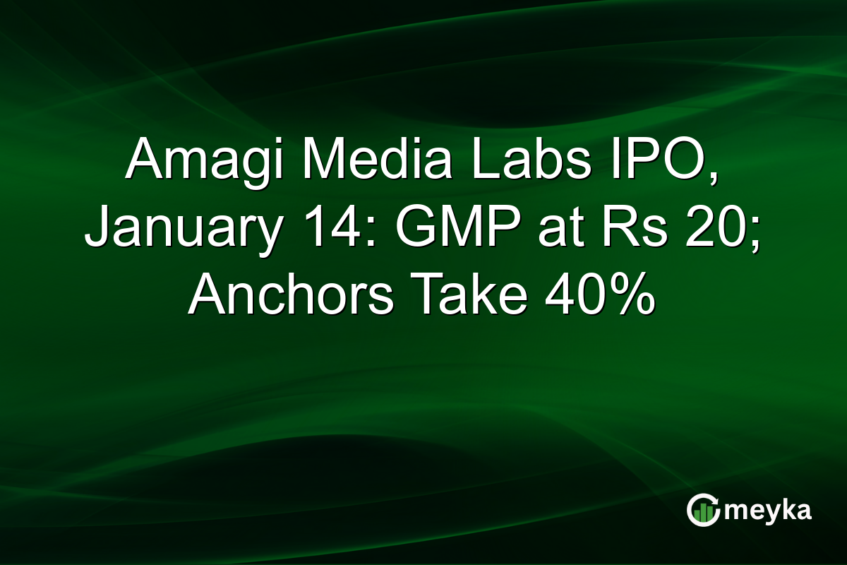 Amagi Media Labs IPO, January 14: GMP at Rs 20; Anchors Take 40%