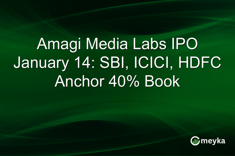 Amagi Media Labs IPO January 14: SBI, ICICI, HDFC Anchor 40% Book