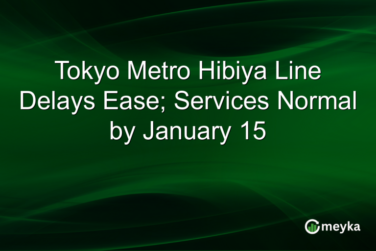 Tokyo Metro Hibiya Line Delays Ease; Services Normal by January 15