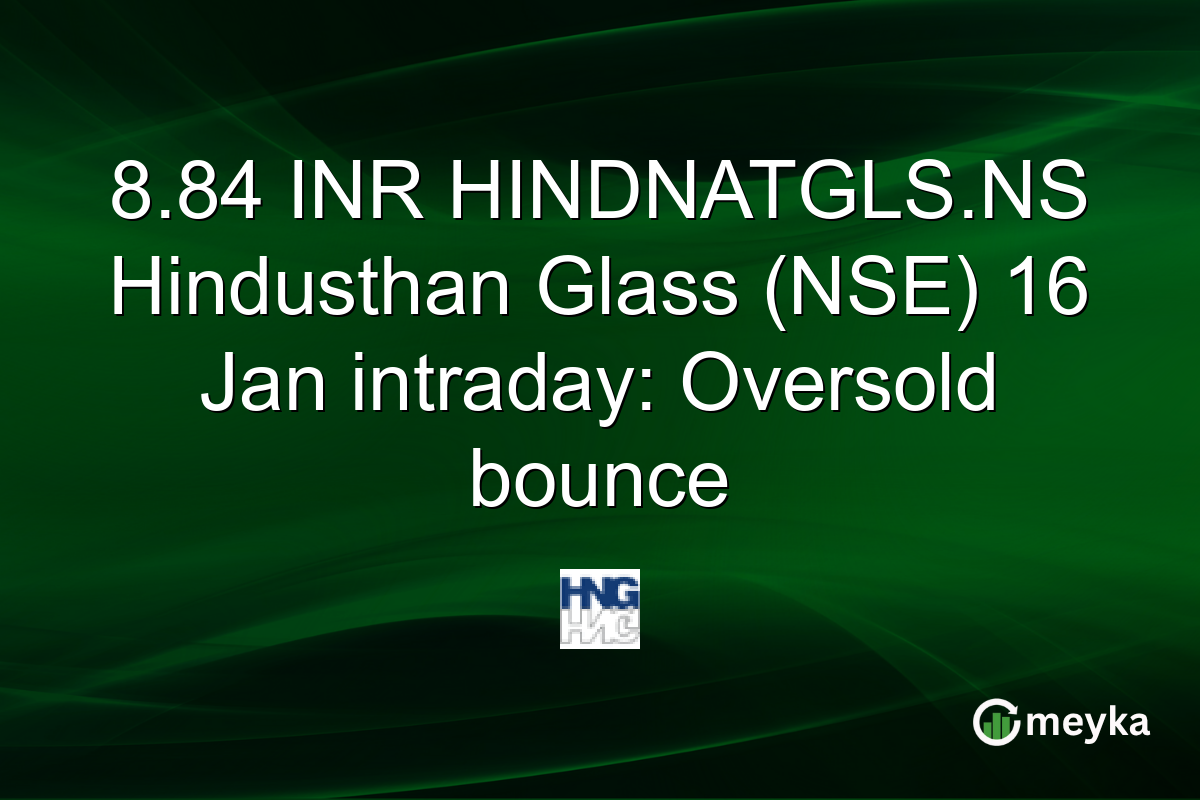 8.84 INR HINDNATGLS.NS Hindusthan Glass (NSE) 16 Jan intraday: Oversold bounce