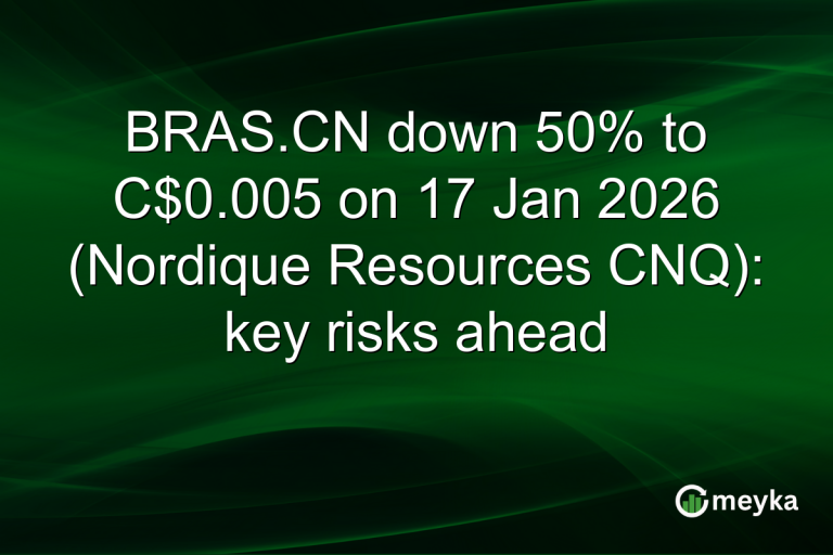 BRAS.CN down 50% to C$0.005 on 17 Jan 2026 (Nordique Resources CNQ): key risks ahead