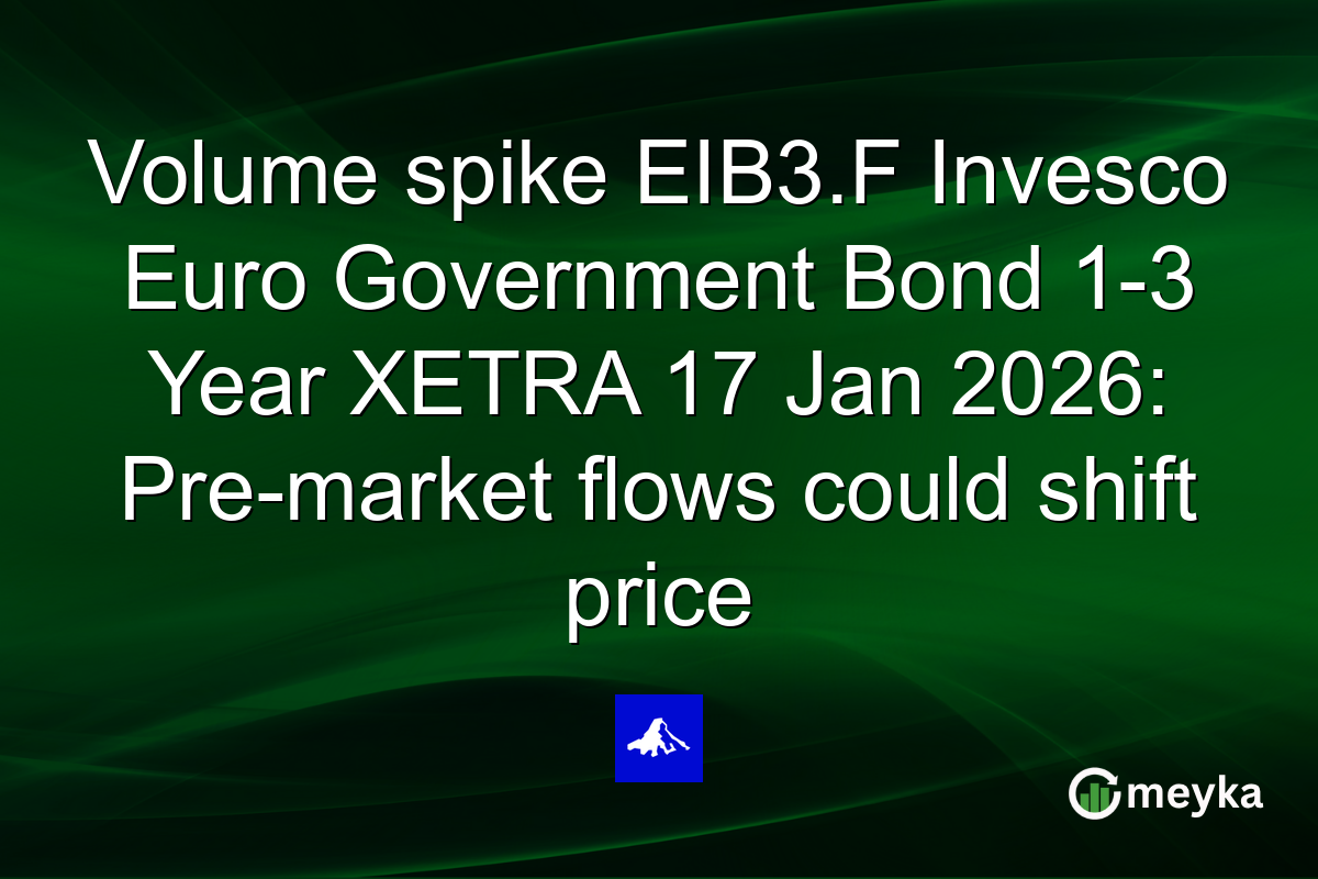 Lanlan Yang Case, January 17: Alleged 'Stand-In' at Sydney Police