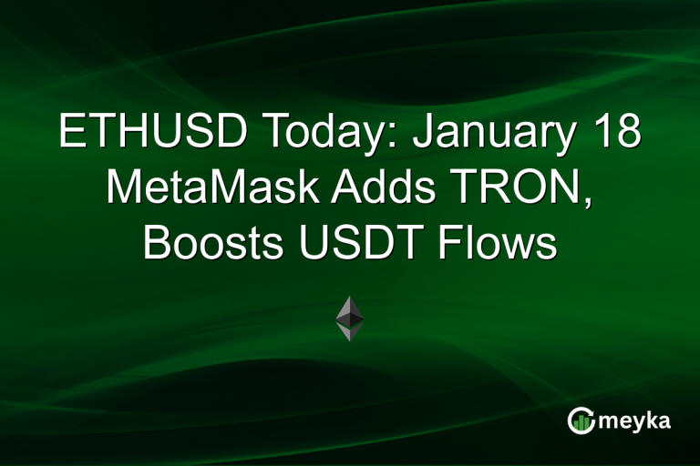 ETHUSD Today: January 18 MetaMask Adds TRON, Boosts USDT Flows