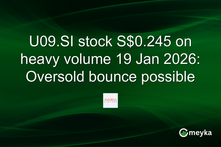 U09.SI stock S$0.245 on heavy volume 19 Jan 2026: Oversold bounce possible