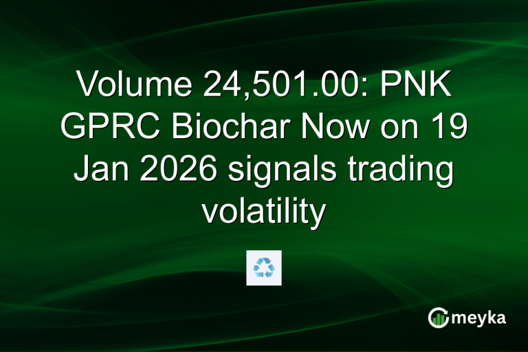 Volume 24,501.00: PNK GPRC Biochar Now on 19 Jan 2026 signals trading volatility