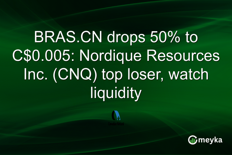 BRAS.CN drops 50% to C$0.005: Nordique Resources Inc. (CNQ) top loser, watch liquidity