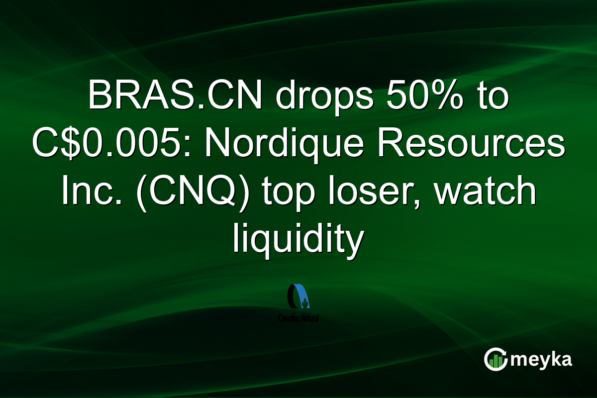 BRAS.CN drops 50% to C$0.005: Nordique Resources Inc. (CNQ) top loser, watch liquidity