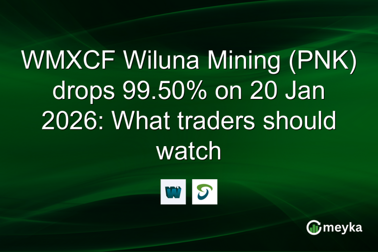 WMXCF Wiluna Mining (PNK) drops 99.50% on 20 Jan 2026: What traders should watch