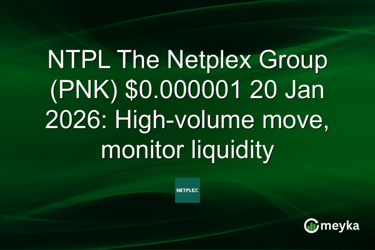 NTPL The Netplex Group (PNK) $0.000001 20 Jan 2026: High-volume move, monitor liquidity