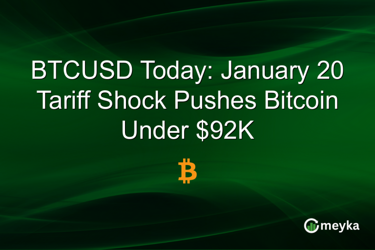 BTCUSD Today: January 20 Tariff Shock Pushes Bitcoin Under $92K